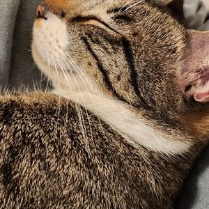 Meet your Posher, Celine